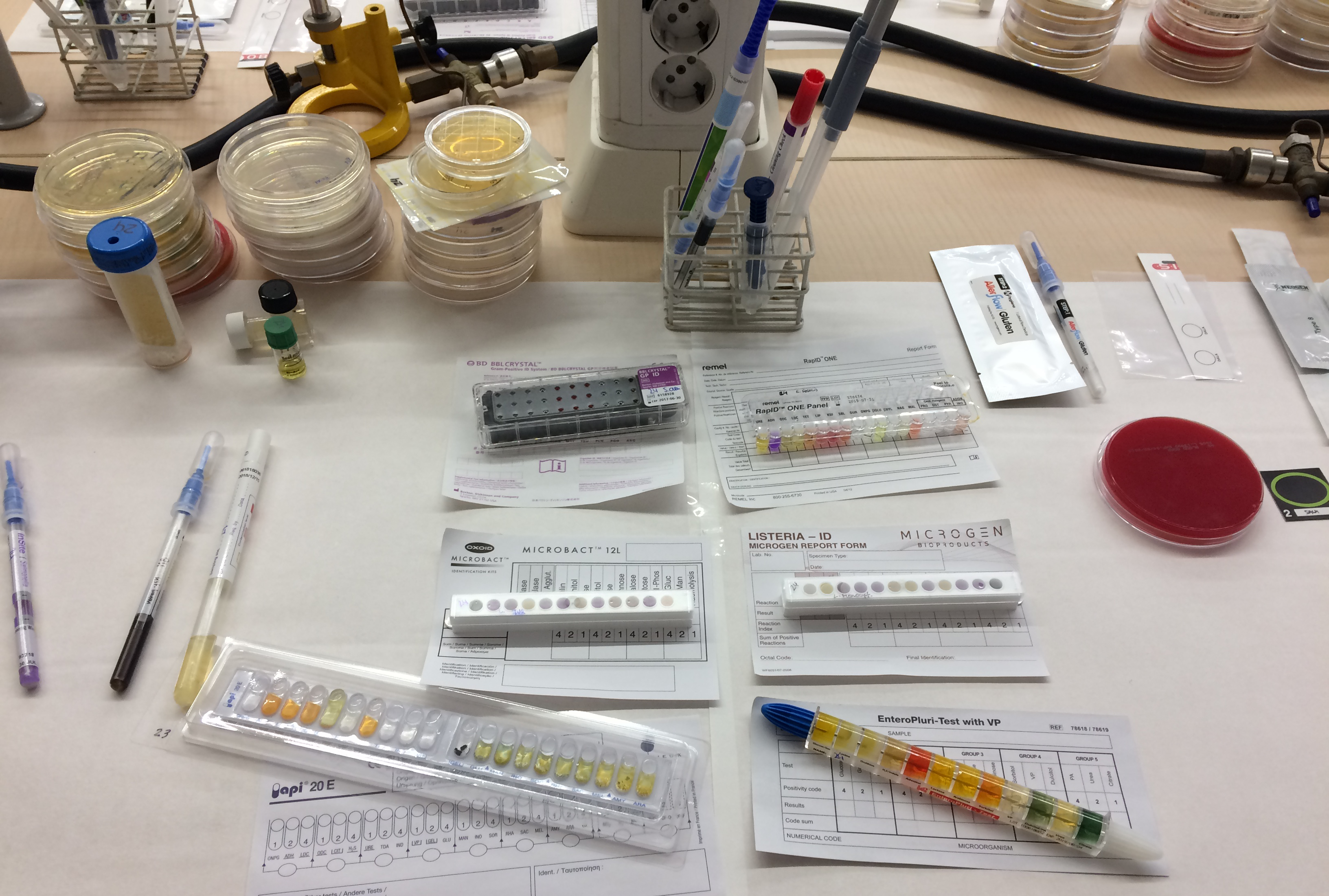 XVIII WORKSHOP